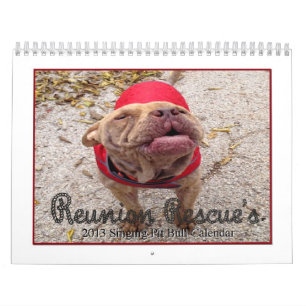 Reunion Rescue 2013 Singing Pit Bulls Calendar