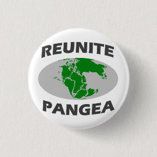 Reunite Pangea 1 Inch Round Button
