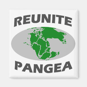 Reunite Pangea Magnet