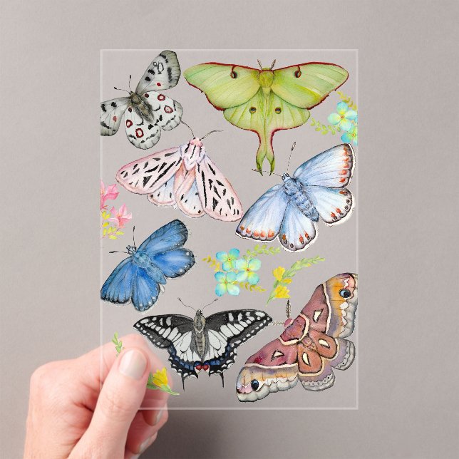 Reusable Grocery Bag Acrylic Invitations (Insitu (Handheld))