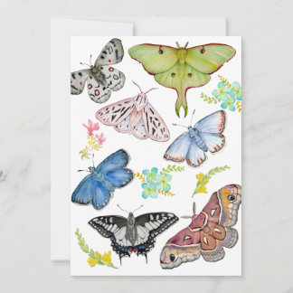 Reusable Grocery Bag Holiday Card