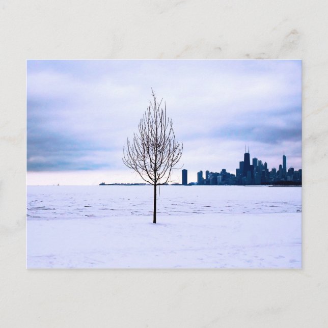 rêve blanc - hiver à Chicago, carte postale (Devant)