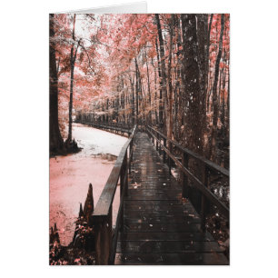 rêve de marécage sain