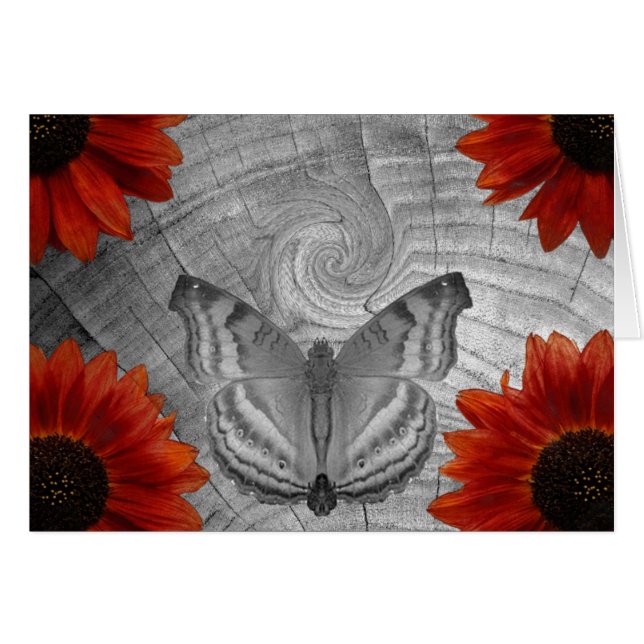Rêve de papillon (Devant horizontal)