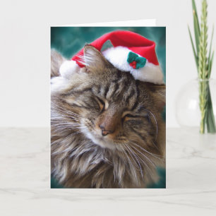 Réveillez-moi Carte Père Noël Cat