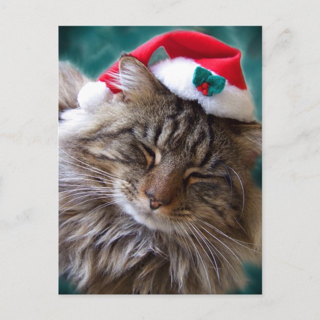 Réveillez-moi Carte postale Père Noël Cat (Devant)