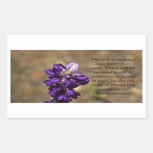 Revelation 21:4 sticker