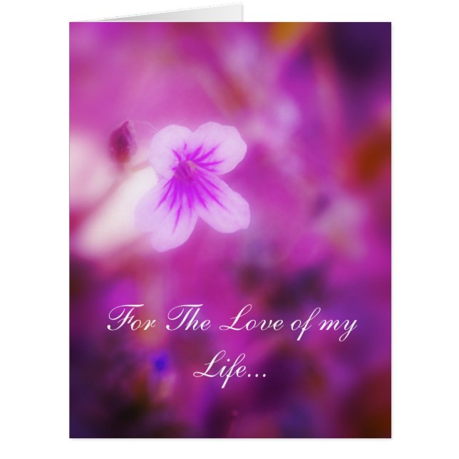 Rêver pour l'amour de ma vie (Devant)