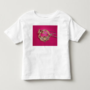 Reverse of the Tara Brooch Toddler T-shirt