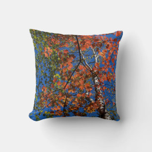 Reversible Colourful Fall Leaves Pillow