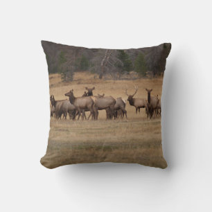 Reversible Elk on a Pillow