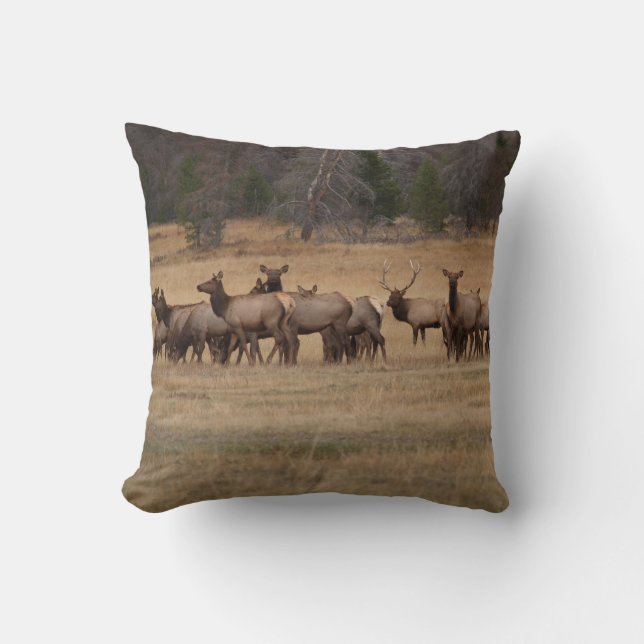 Reversible Elk on a Pillow (Front)