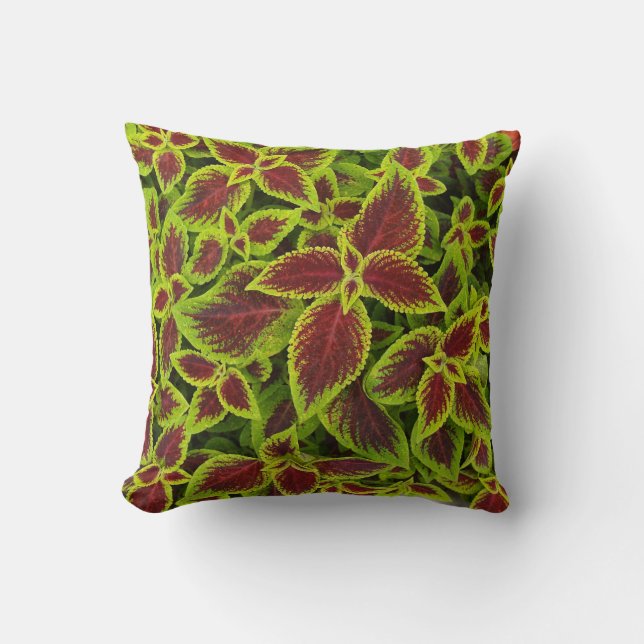 Reversible Red et Chartreuse Coleus Coussin Feuill (Recto)