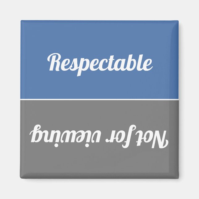 Reversible Respectable/Not For Viewing Dishwasher Magnet (Front)