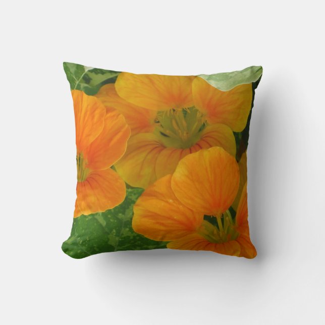 Reversible Summer and Fall Pillow (Front)