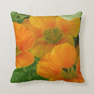 Reversible Summer and Fall Pillow