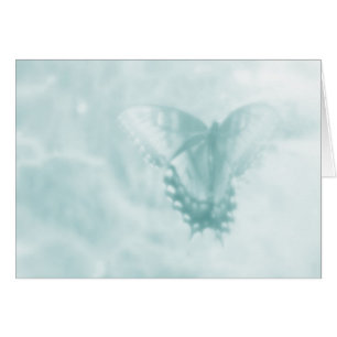 Rêves de papillon