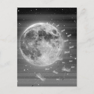 Rêves qui volent carte postale