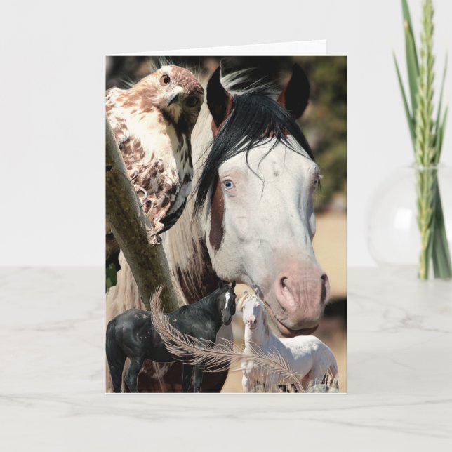 Rêves sauvages et plumes "Mustang Meg" CARTE SAUVA (Devant)