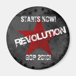 Revolution1024x768, STARTS NOW! , GOP 2010! Magnet