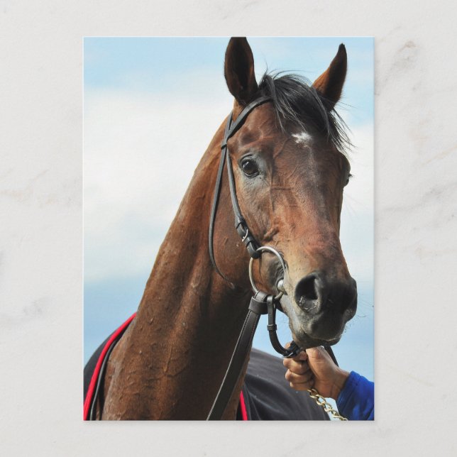 Revved Up Postcard (Front)