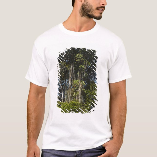 Rewa River edge Rainforest Guyana T-Shirt (Front)