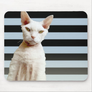 Rex Cat Blue/Black Stripe Mousepad