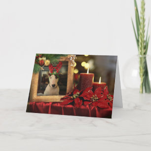 Rex Christmas card, candles and poinsettia Card