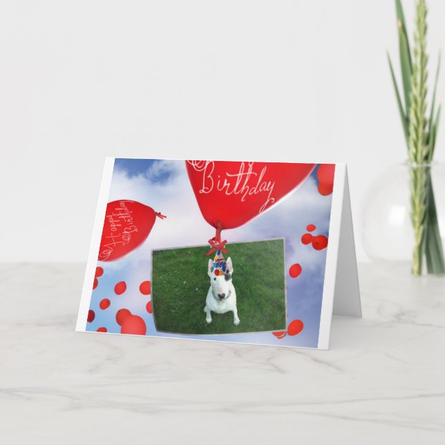 Rex La TV Terrier Carte Anniversaire (Devant)