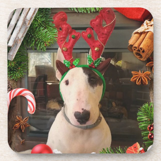 Rex La TV Terrier dessous de verre de Noël (Devant)
