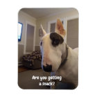 Rex La TV Terrier Réfrigérateur Magnet