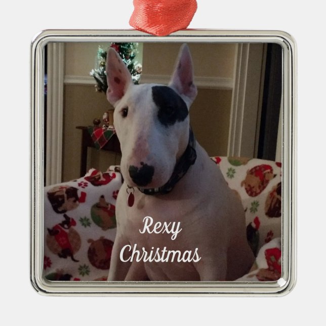 Rex La TV Terrier Rexy Ornement de Noël (Devant)
