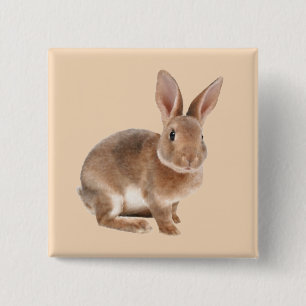 Rex Rabbit 2 Inch Square Button