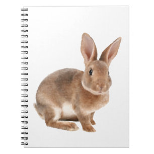 Rex rabbit notebook