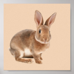Rex Rabbit Poster