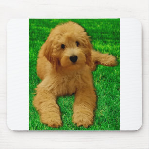 Rex The Goldendoodle Mouse Pad