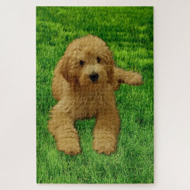 Rex The Goldendoodle Puzzle (Vertical)