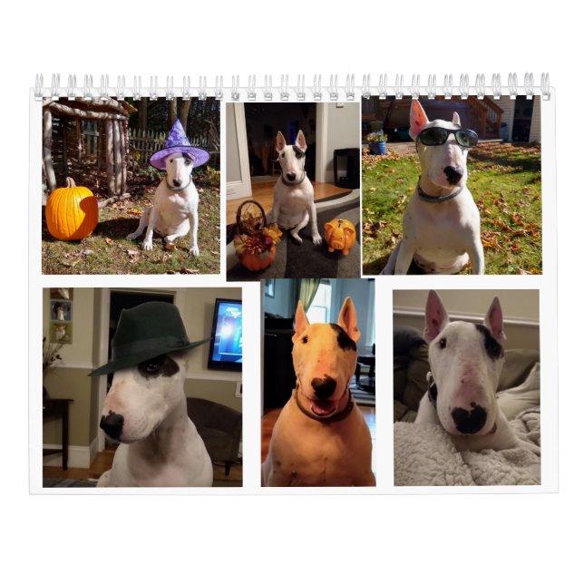 Rex The TV Terrier 2020 Word Of.The Month Calendar (Back)