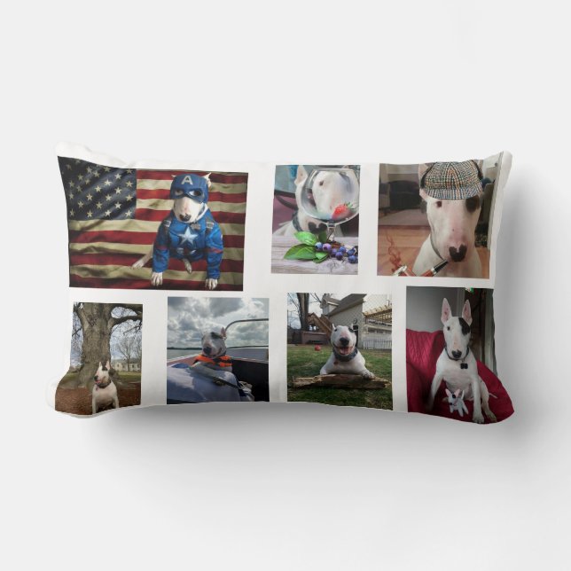 Rex The TV Terrier Lumbar Pillow (Front)
