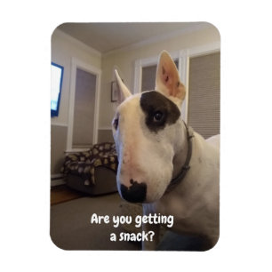 Rex The TV Terrier Refrigerator Magnet