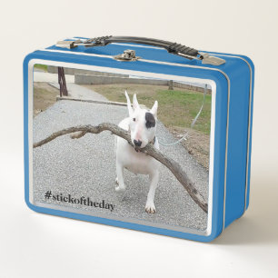 Rex The TV Terrier.Stick Of The Day lunchbox