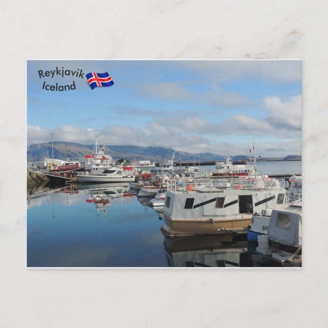Reykjavik Harbour, Iceland Postcard (Front)