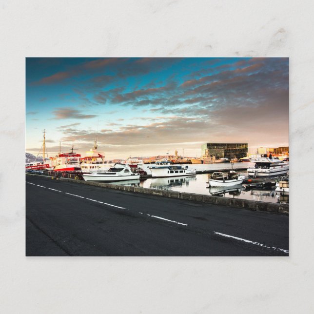 Reykjavik Marina Iceland Postcard (Front)