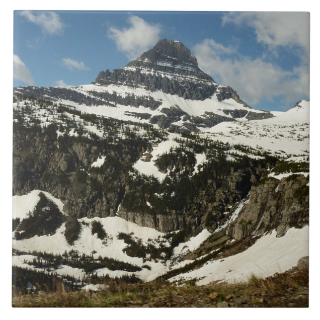 Reynolds Mountain from Logan Pass at Glacier Park Tile (Front)