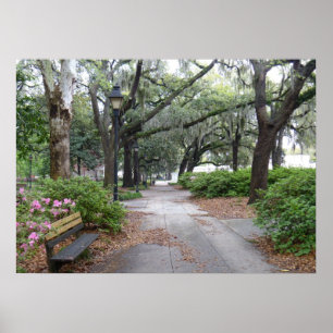 Reynolds Square, Savannah Georgia Poster