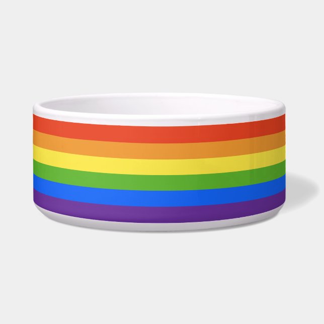 RFSC Plain Rainbow-NO RFSC-Large Ceramic Pet Bowl (Front)