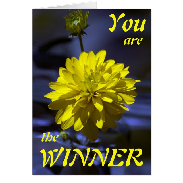 Rhapsodie en bleu et jaune VOUS ÊTES LE GAGNANT (Devant)