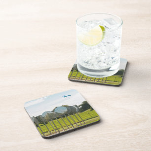 Rheinaue Park in Bonn Coaster