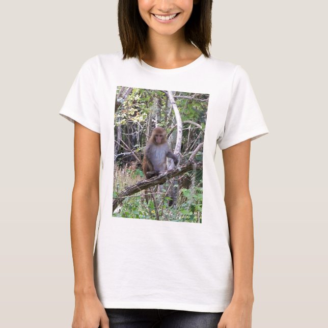 rhesus macaque monkey T-Shirt (Front)