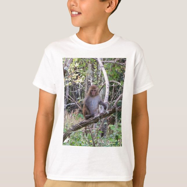 rhesus macaque monkey T-Shirt (Front)